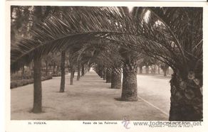 Postcards: Postal Huelva,Paseo de las Palmeras,original,sin circular,,es la de la foto